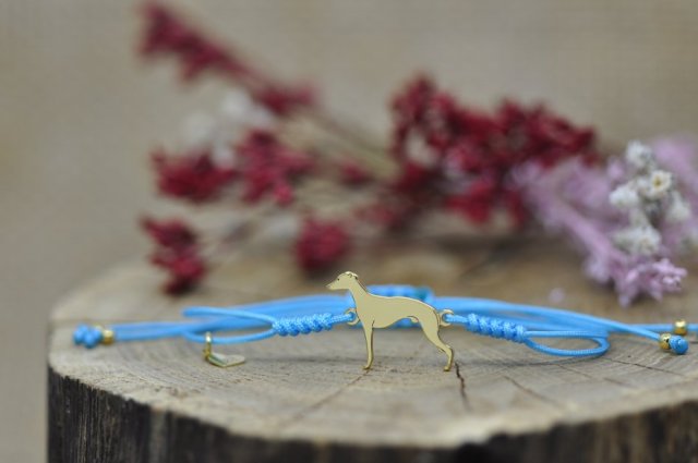 Whippet / Chart angielski - bransoletka z psem, srebro 925 pozłacane