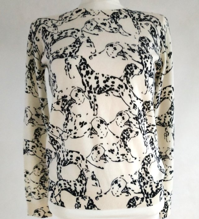 1001 DALMATYŃCZYKÓW