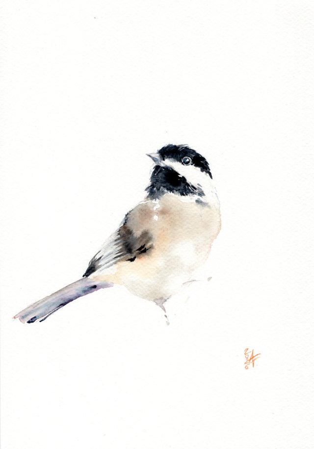 Oryginalna akwarela. Sikora uboga