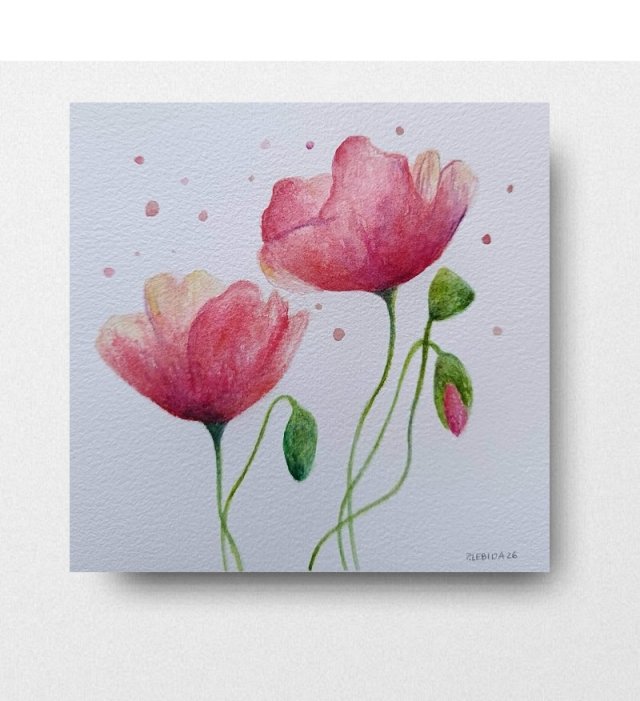 Maki- obraz  akwarela