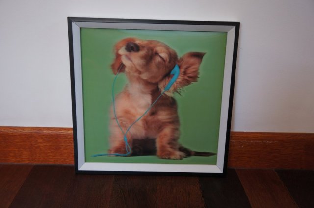 Obraz z pieskiem w 4D   *16