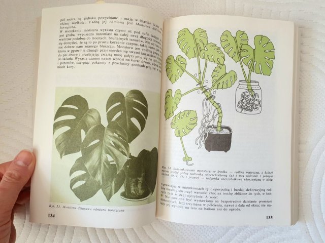 Książka "Rośliny ozdobne w mieszkaniu i na balkonie" Izabela Kiljańska