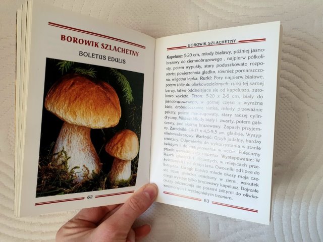 "Kieszonkowy atlas grzybów". Autor: Jozef Sirek Książka