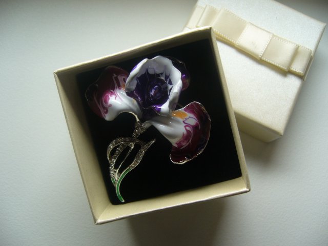 PIĘKNA EMALIOWANA BROSZKA ZAWIESZKA IRYS