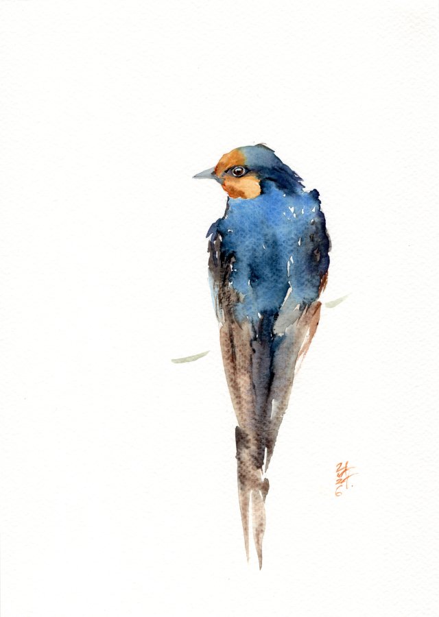 Oryginalna akwarela. Jaskółka