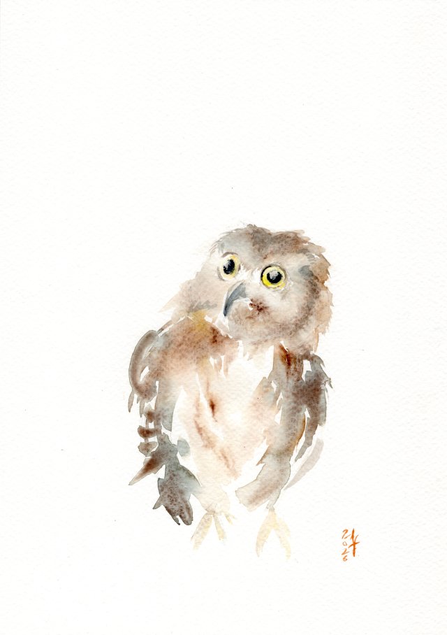 Oryginalna akwarela. Włochatka