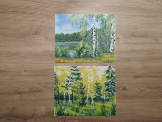 WYPRZEDAŻ KOLEKCJI - ZESTAW RĘCZNIE MALOWANYCH OBRAZÓW - BRZOZY W KOLORZE - 2x 24x30cm