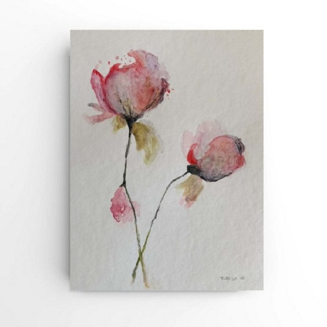 Róże  -  akwarela