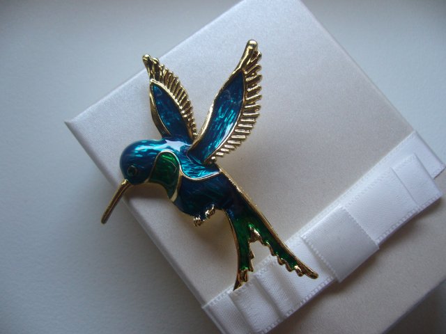 BROSZKA PTAK KOLIBER