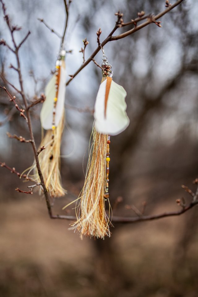 Leć gdzie chcesz II- kolczyki z piorami papugi i kryształami