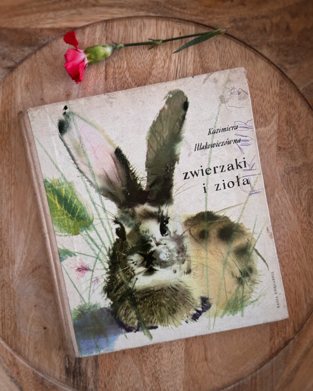 ,Rośliny i zioła’ wiersze Iłłakowiczówna, ilustracje Grabiański, Nasza księgarnia1970r.