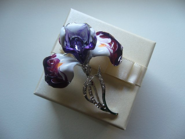 PIĘKNA EMALIOWANA BROSZKA ZAWIESZKA IRYS