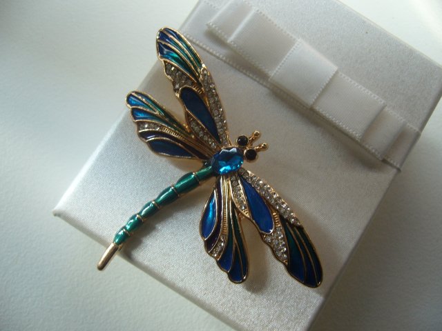 EMALIOWANA BROSZKA WAŻKA