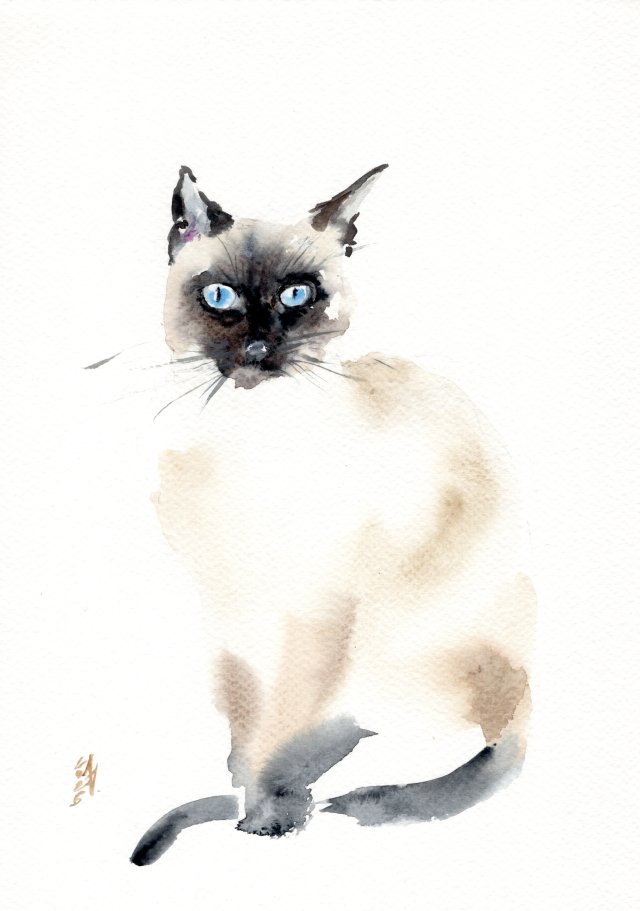 Oryginalna akwarela. Kot