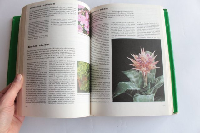 Książka vintage Mieszkamy wśród kwiatów - Margot Schubert, Rob Herwig