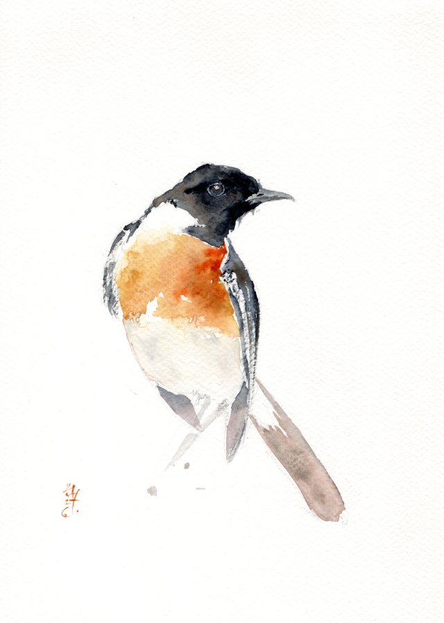 Oryginalna akwarela. Kląskawka