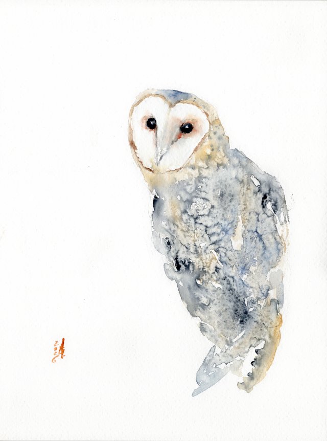 Oryginalna akwarela. Płomykówka