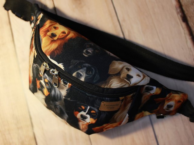 Nerka golden retriever appenzeller berneński M