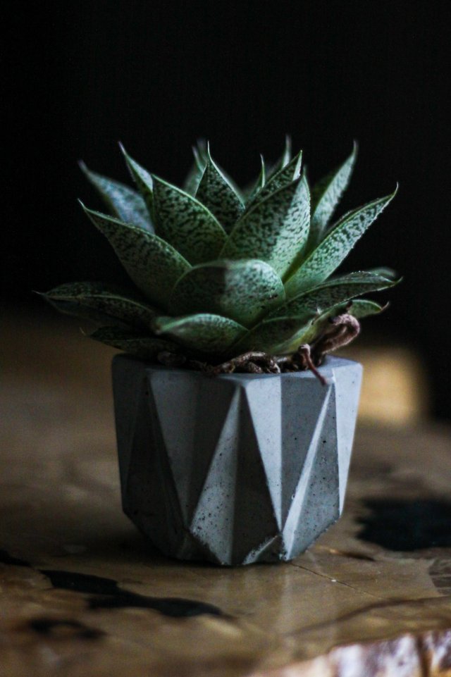 Doniczka betonowa geometryczna 7x7 cm – minimalistyczna, ręcznie wykonana | AURECON