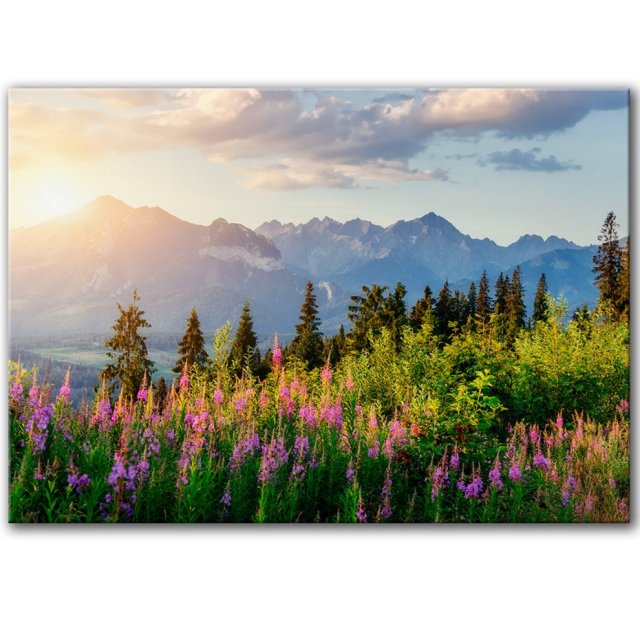 Obraz na płótnie - 100x70 cm Tatry (1-0724)