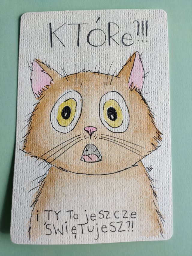 Kartka urodzinowa "Które?! i Ty to jeszcze świętujesz?!" – ręcznie malowana