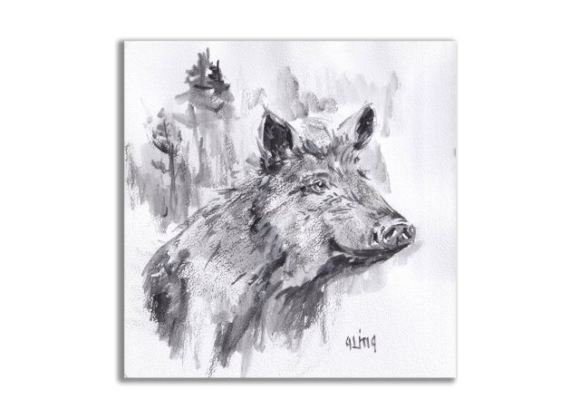 Dzik. Grafika ręcznie malowana