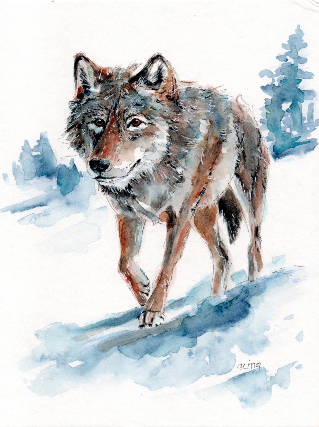 Obraz ręcznie malowany "Wilk"+rama