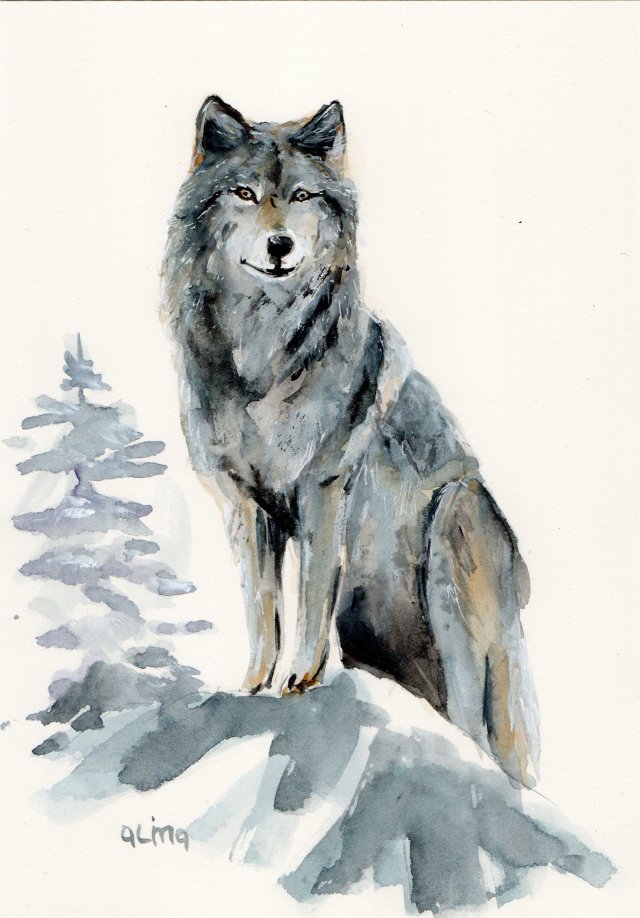 Obraz ręcznie malowany "Wilk"+rama