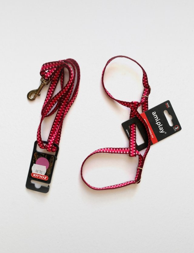 Nowy zestaw szelki i smycz