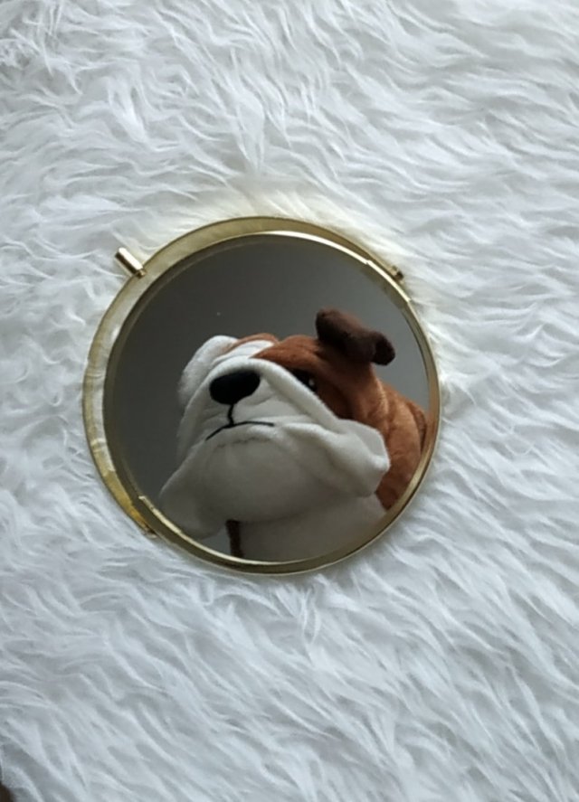 LUSTERECZKO POWIEDZ ...