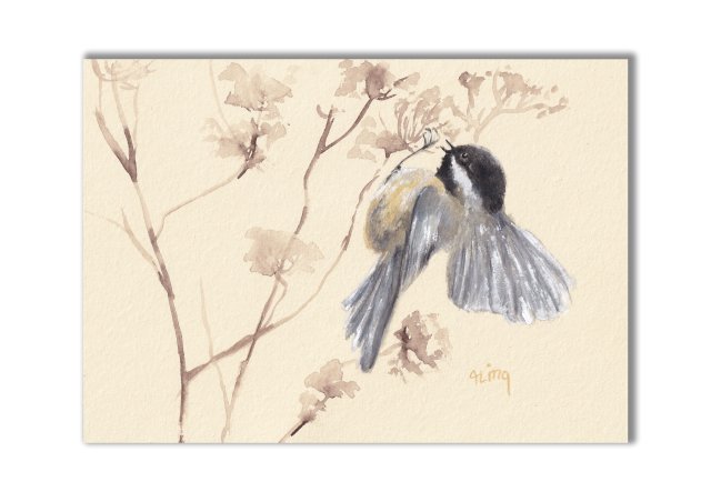 Sikorka sosnówka. Akwarela ręcznie malowana