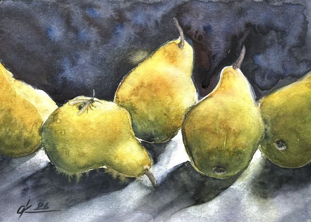 Rodzina gruszek. Oryginalna akwarela, 21/30 cm