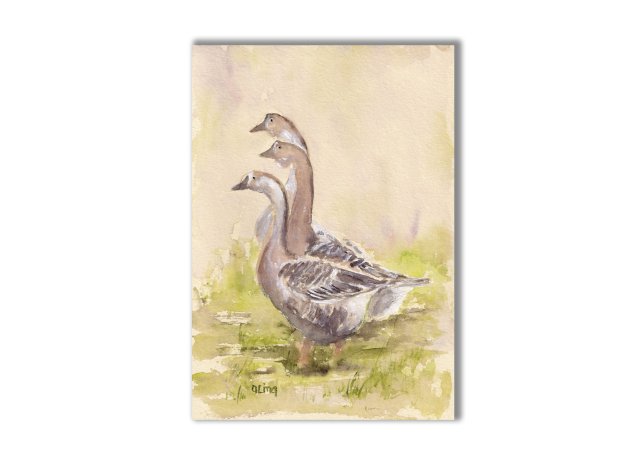 Gęsi. Akwarela ręcznie malowana
