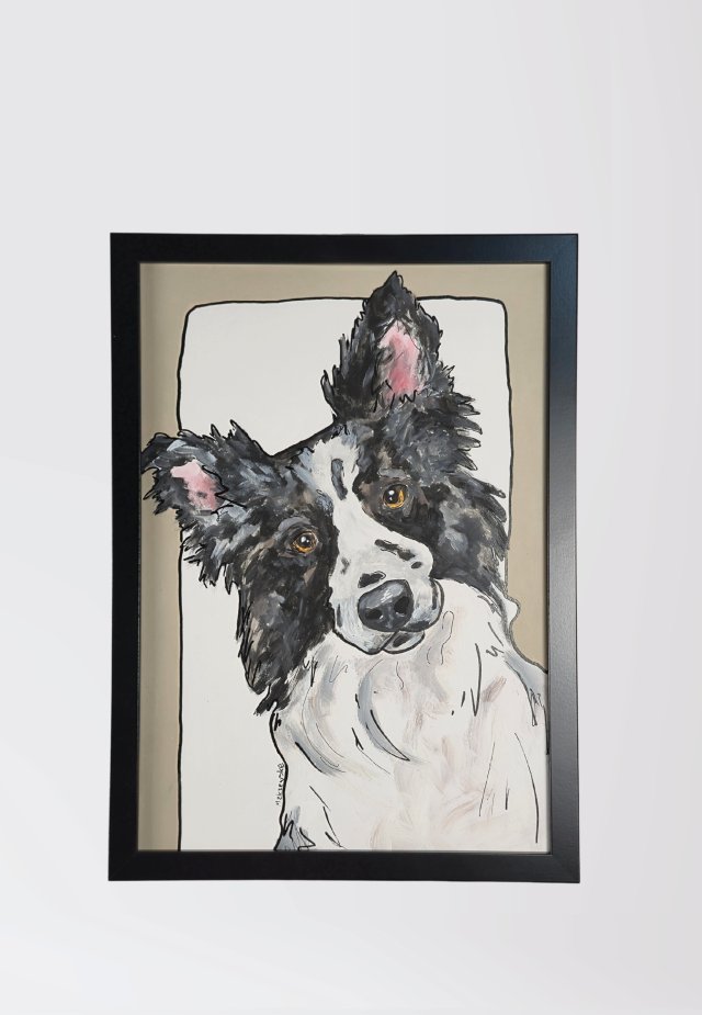 GRAFIKA / OBRAZ  - PIES BORDER COLLIE - A3