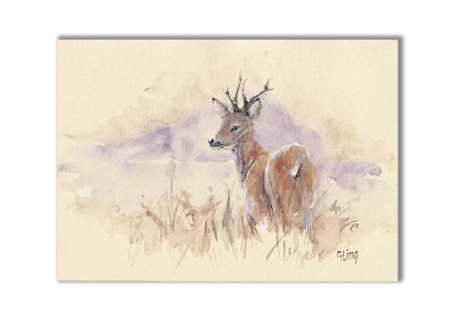 Sarna. Akwarela ręcznie malowana