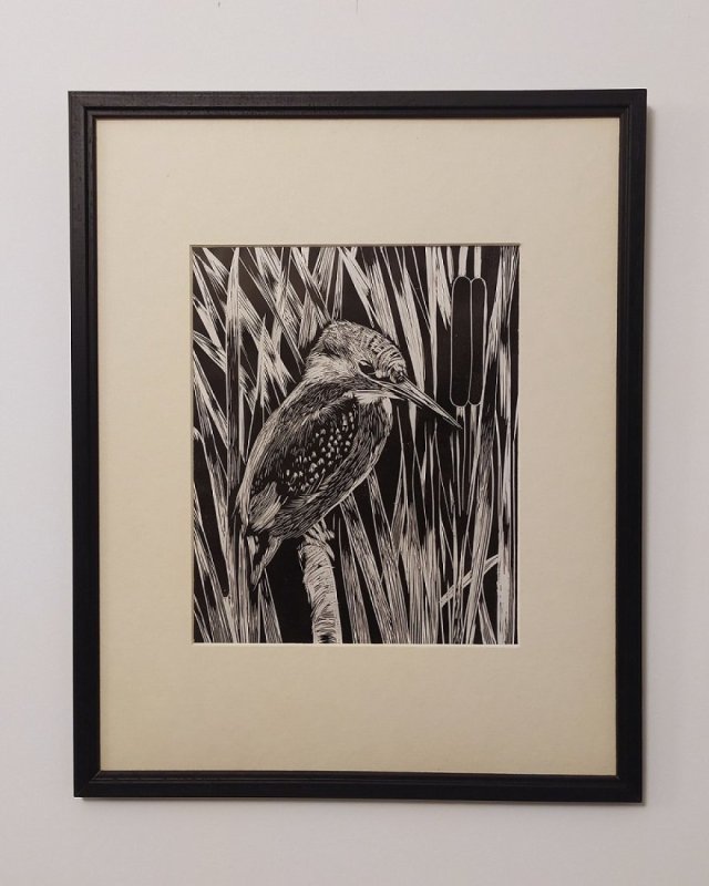 Zimorodek, ptak - Linoryt, ilustracja, grafika, obrazek, obraz, sztuka