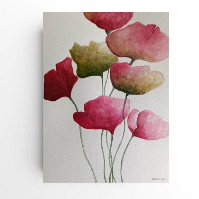 Maki- obraz  akwarela