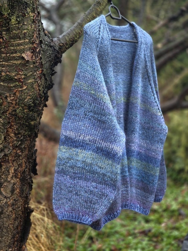 Forget-me-not / balloon sweater