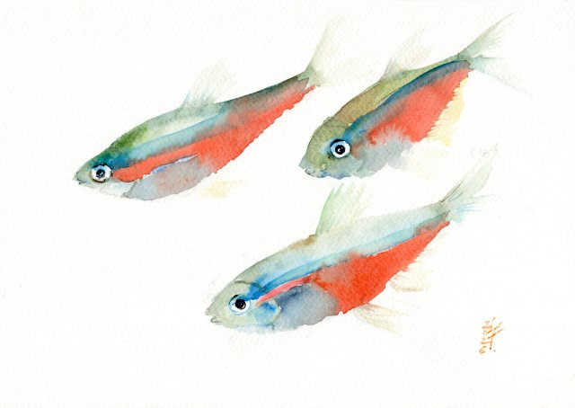 Oryginalna akwarela. Ryby