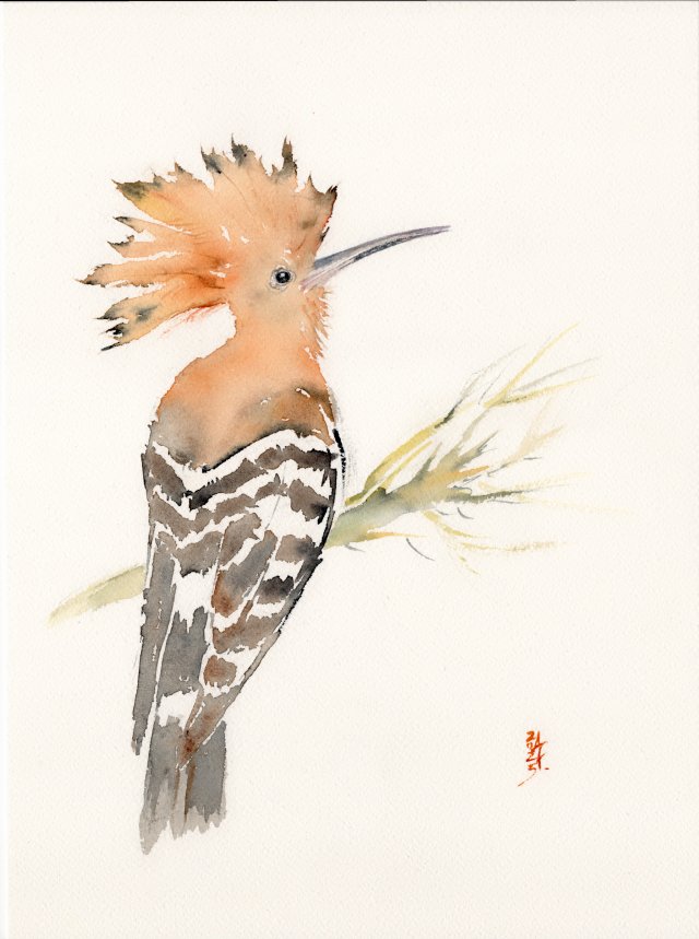 Oryginalna akwarela. Dudek