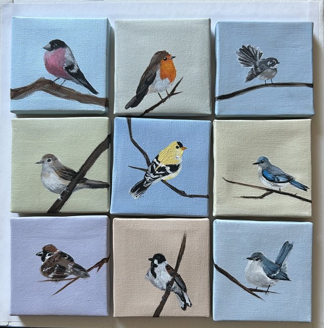 9 obrazków ptaszki