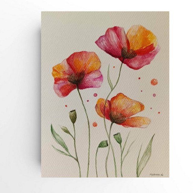 Maki - obraz  akwarela