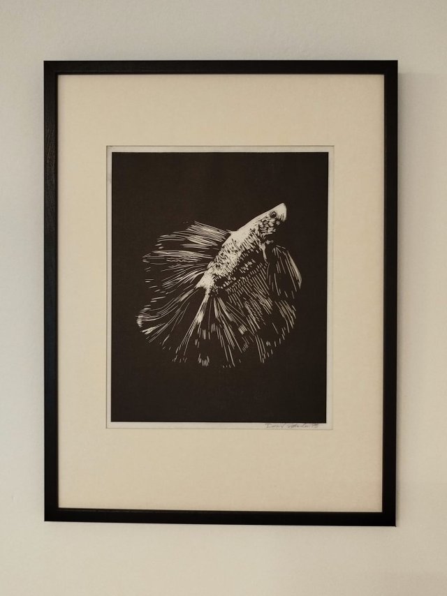 Linoryt, sztuka, obrazek, ilustracja, ramka, akwarium, ryba, Bojownik