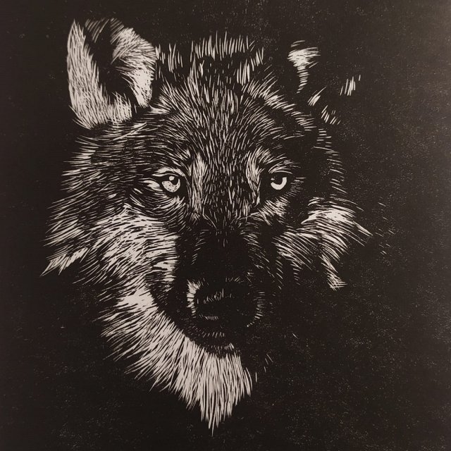 Linoryt, ilustracja, grafika, obrazek, obraz, sztuka - Wilk, Pies, Owczarek Niemiecki