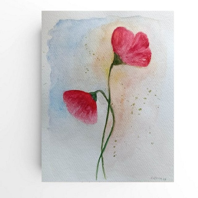 Maki - obraz  akwarela