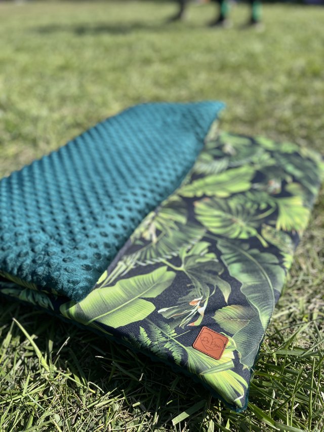 Mata wodoodporna dla psa – wygoda, styl i zero stresu o zabrudzenia