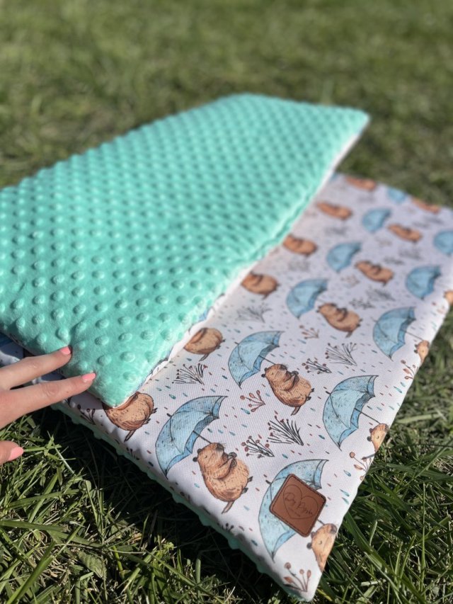 Mata wodoodporna dla psa – wygoda, styl i zero stresu o zabrudzenia