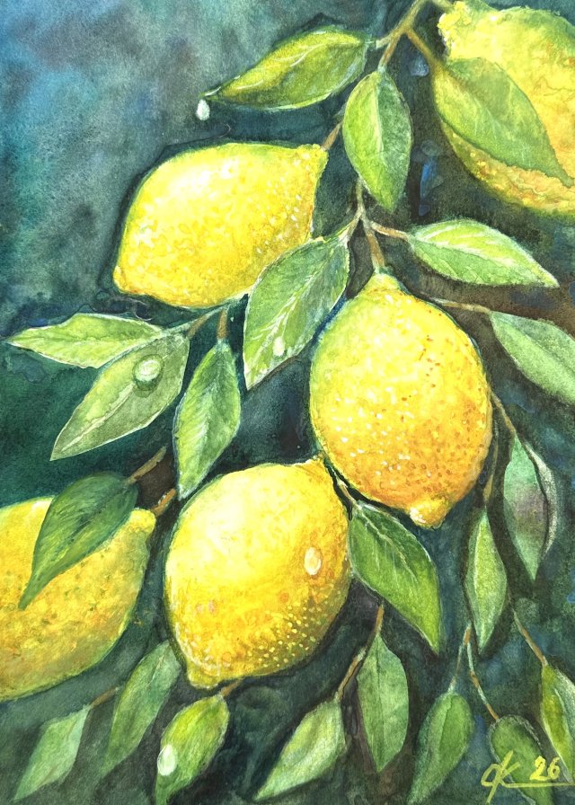 Gałązka cytryny Original Akwarela A4