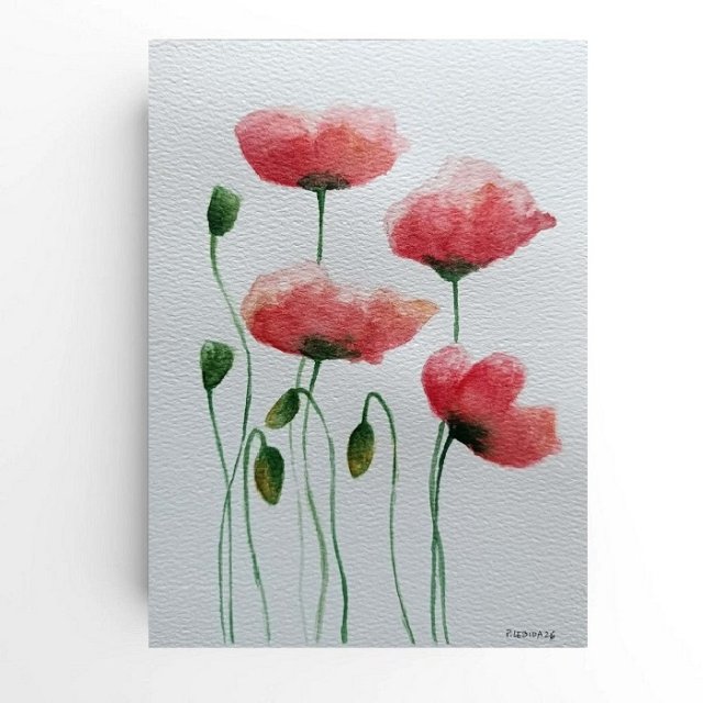 Maki- obraz  akwarela