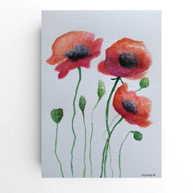 Maki- obraz  akwarela